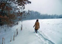 Więcej o: Zimowe spacery dla chętnych :)